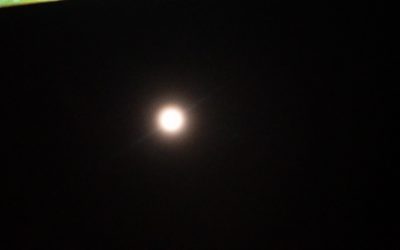 Yoga-Ayurveda-Wesak : seminario in luna piena di maggio