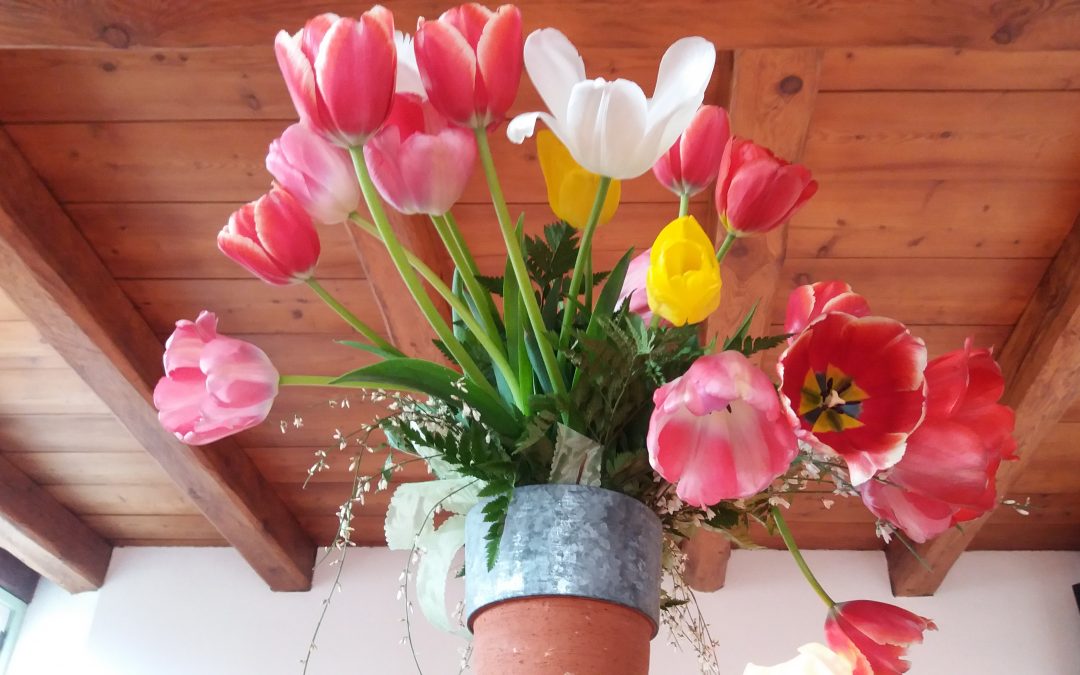 Grazie e Buone Vacanze