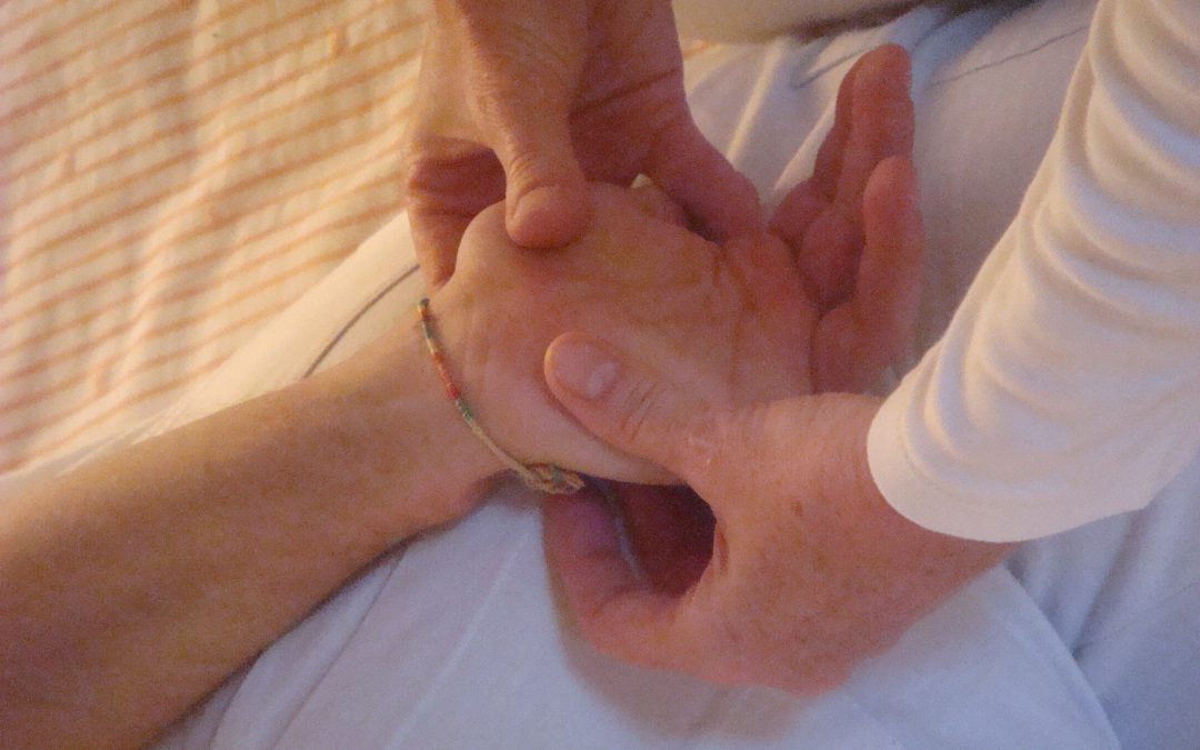 Serate di trattamenti guidati e Serate di pratica allievi scuola di formazione