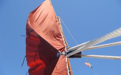 A mio padre Alfonso