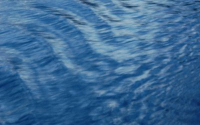 Secondo Cakra tra Arte e Counseling