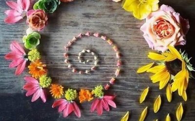 Pulizia della Conchiglia: pratica di Kriya Yoga