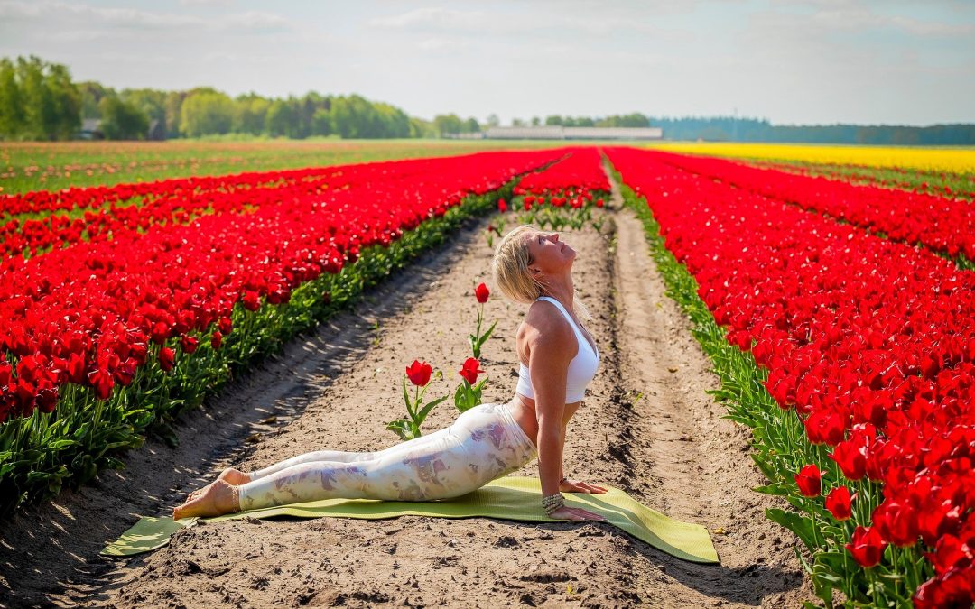 YOGA e MEDITAZIONE 26 anni di pratica insieme